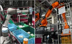 在RDC 埼玉 安装的人工智能分拣机器人和装箱机器人的照片