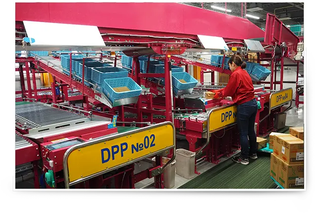 下一代批量拣选系统的照片（部分）。